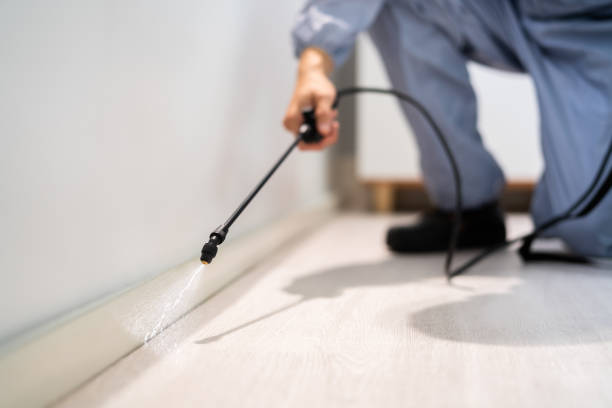 Licensed Pest Control service in St. Clair, PA - Show Me Pest Control