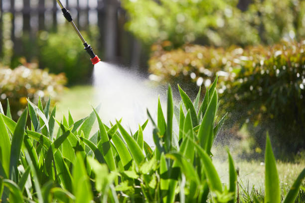 24/7 Emergency Ant Control experts in St. Clair, PA